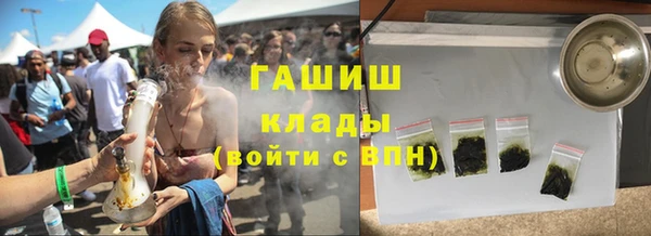 шишки Абаза