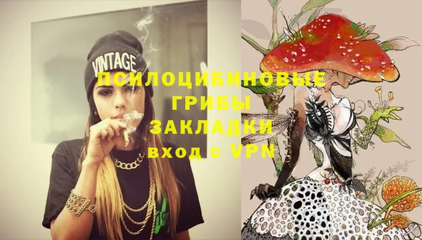 шишки Абаза