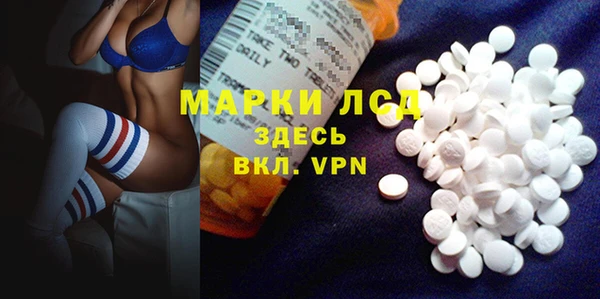 шишки Абаза