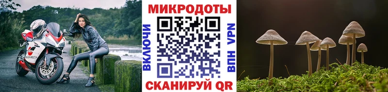 что такое наркотик  Грайворон  Псилоцибиновые грибы Cubensis 